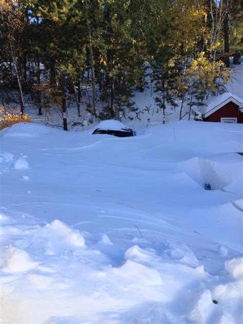 Winter Storm Atlas Kills Thousands Of Cattle In South Dakota