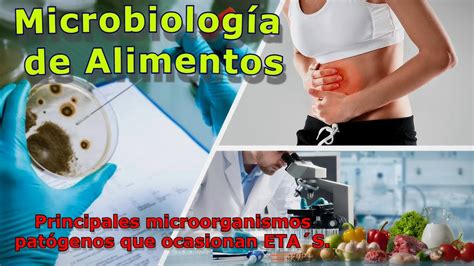 Microbiología de los alimentos y principales microorganismos patógenos que ocasionan ETA´S ...