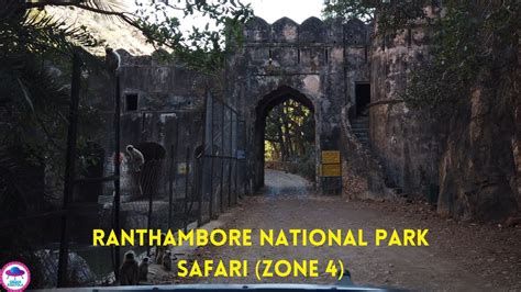 Ranthambore Tiger Safari Zone In K Ranthambore National Park