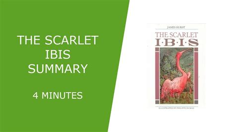 The Scarlet Ibis Summary Youtube