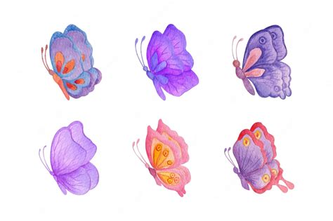 Conjunto De Coleção De Lindas Borboletas Em Aquarela Vetor Premium