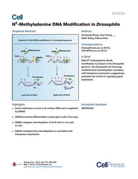 PDF N6 Methyladenine DNA Modification In Drosophila