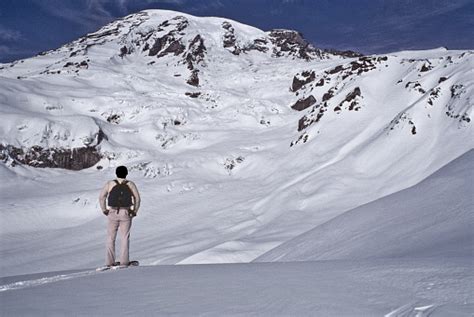 Snowshoeing At Mount Rainier Stock Photo - Download Image Now - Adult ...