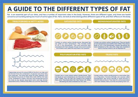 The Type Of Saturated Fats We Eat Can Affect Our Risk Of A Heart Attack