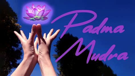 Padma Mudra La Flor De Loto En Tus Manos Youtube