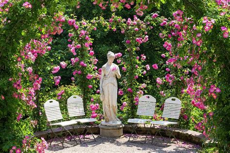 Rose Garden With Statue Digital Art By Reinhard Schmid Pixels