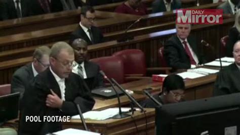 Oscar Pistorius Trial 8 Things We Learned From Prosecutor Gerrie Nels