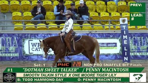 Penny Macintosh Dotmah Sweet Talker Non Pro Snaffle Nbit Champion Ncha