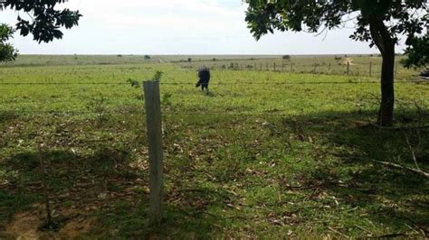 Doomos VENTA DE FINCA GANADERA EN PUERTO GAITAN META