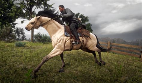 Buttermilk Buckskin Horse