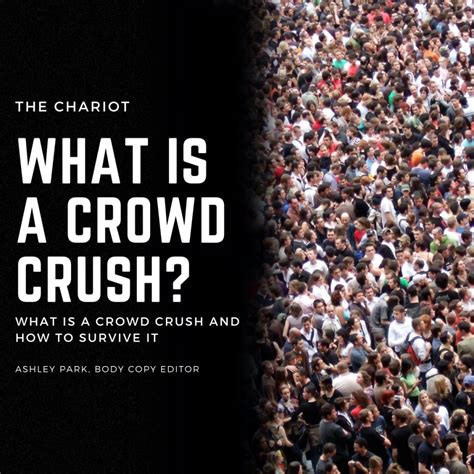 Crowd Crush Infographic – The Chariot