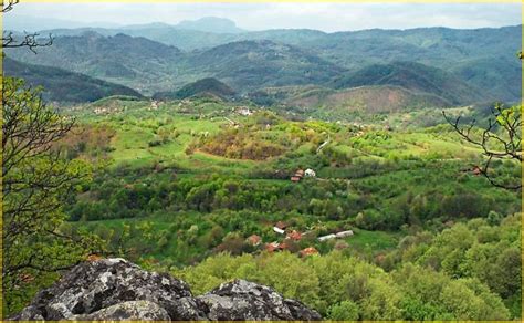 Avizul De Mediu Pentru Exploatarea De La Rovina Anulat Cronica Vaii