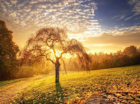 Fabulous Nature Scenery - Fabulous Pictures