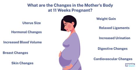 Weeks Pregnant Symptoms Week Of Pregnancy And Prenatal Care