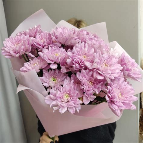 Купить букет из 7 розовых хризантем по доступной цене с доставкой в ...