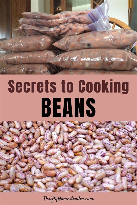 Home The Thrifty Homesteader How To Cook Beans Cooking Dried Beans