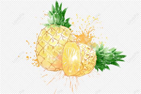 Pineapple Watercolor Hand Drawn Free PNG And Clipart Image For Free