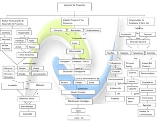 Mapa Conceptual Gerencia De Proyectos PPT Descarga Gratuita