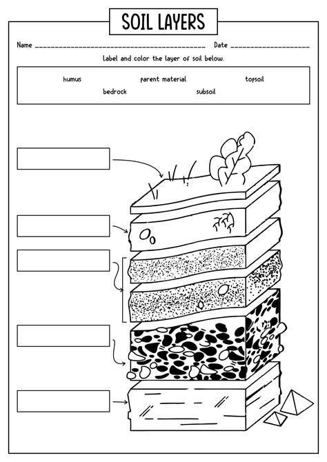 15 Worksheets On Layers Of Soil Science Lessons Homeschool