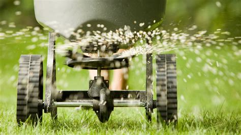 Should I aerate my lawn before fertilizing? | Homes & Gardens