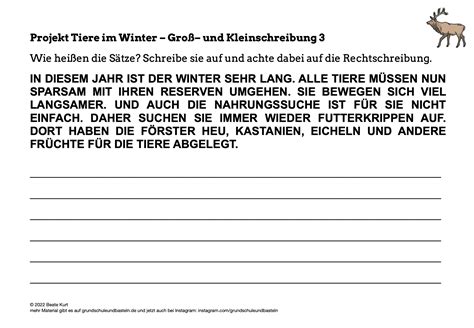 Tiere im Winter Groß und Kleinschreibung üben 3 Grundschule und