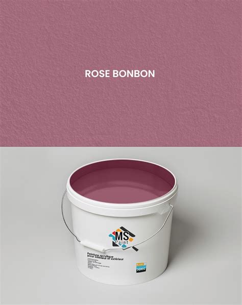 PEINTURE A L EAU INTERIEUR EXTERIEUR MS 30KG ROSE BONBON Bricodis