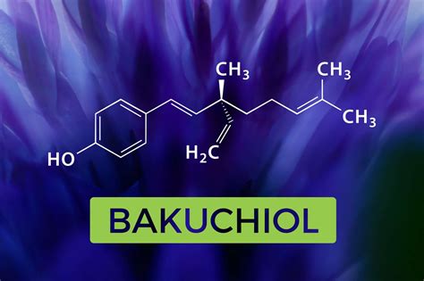 What is Bakuchiol? - Reviva Labs