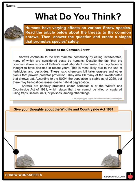 Shrew Worksheets & Facts | Characteristics, Species, Habitat