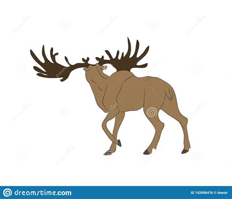 Illustration De Vecteur Dun Cerf Commun Qui Se Tient Couleur De