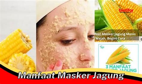 Temukan Manfaat Masker Jagung Yang Jarang Diketahui Biotifor