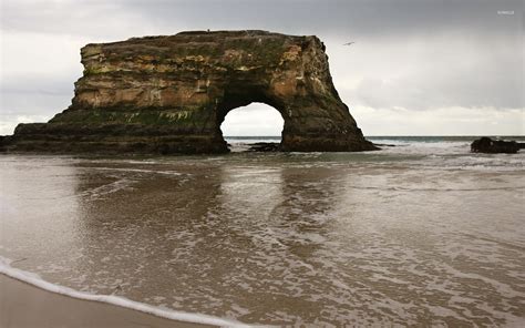 Natural Bridges State Beach wallpaper - Nature wallpapers - #11753