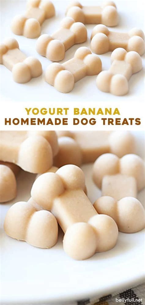 Yogurt Banana Homemade Dog Treats Dog Treats Homemade Recipes Banana