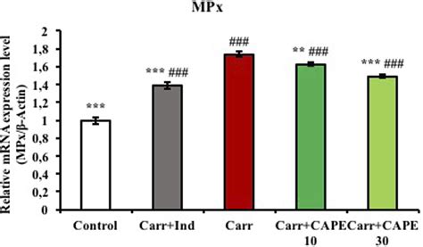 Investigation Of The Anti Inflammatory Effects Of Caffeic Acid