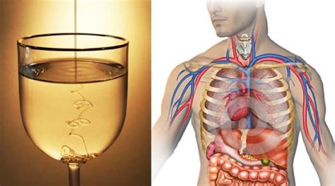 Be Careful 5 Situations When You Shouldn T Drink Water Health Lifestyle