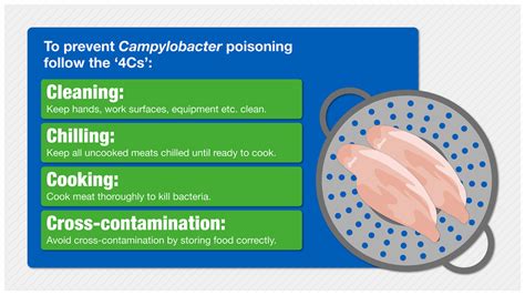 CAMPYLOBACTER - Pal International