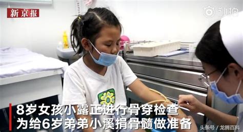 血濃於水，8歲女童為弟弟捐骨髓增體重：為救弟弟 我什麼都不怕 每日頭條