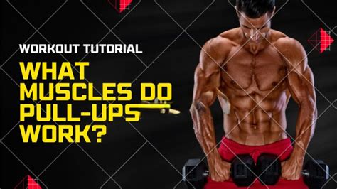 What Muscles Do Pull-Ups Work? A Comprehensive Guide to Targeting Lats, Biceps, and More