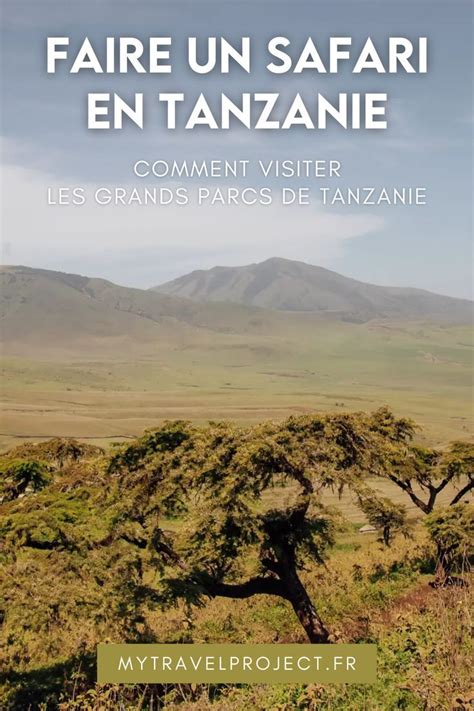 Faire Un Safari En Tanzanie Comment Visiter Les Grands Parcs Du Pays