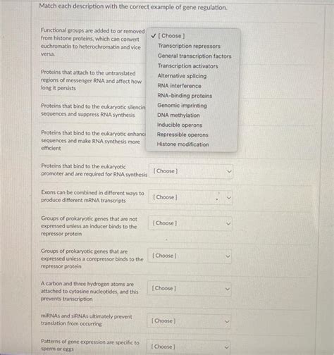 Solved Match Each Description With The Correct Example O