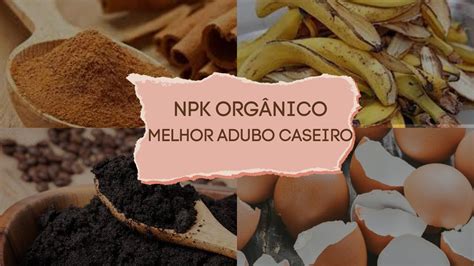 COMO FAZER NPK ORGÂNICO ADUBO CASEIRO FAÇA SEU PRÓPRIO ADUBO EM