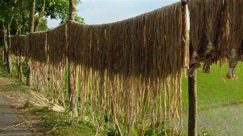 Depth Analysis Of The Types Of Defects Of Jute Fiber With Effective