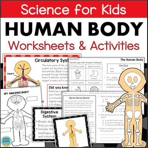 Human Body Systems And Organs For Primary Grades Science Posters