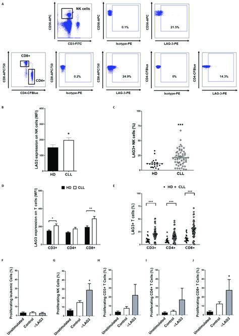 Lag Expression Is Increased On Nk And T Cells And Induces