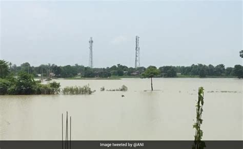 Watch A Dramatic Rescue Mission And Iafs Relief Ops In Flood Hit Bihar