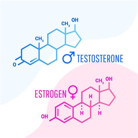 Fórmula Molecular De Hormonas De Estrógeno Y Testosterona Con Formas