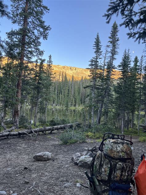 Base camp and neighborhood during Colorado elk hunt : r/camping