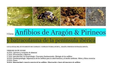 I Curso Herpetología Anfibios Aragón Pirineos