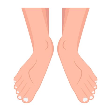 Premium Vector A Picture Of A Womans Feet And Feet