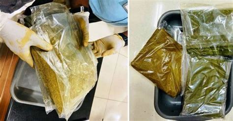 19 Year Old Girl Arrested In Kerala Airport With 1 8kg Gold Worth Rs 1