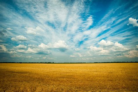 ToF Behang Wolkenlucht Met Graanveld ToF Behang Aan Je Muur